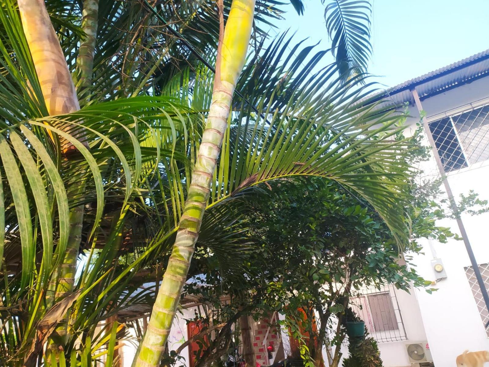 Hosteria Del Puerto Puerto López المظهر الخارجي الصورة